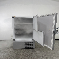 Thermo Scientific TSX Series -80 Ultra Low Freezer image 3
